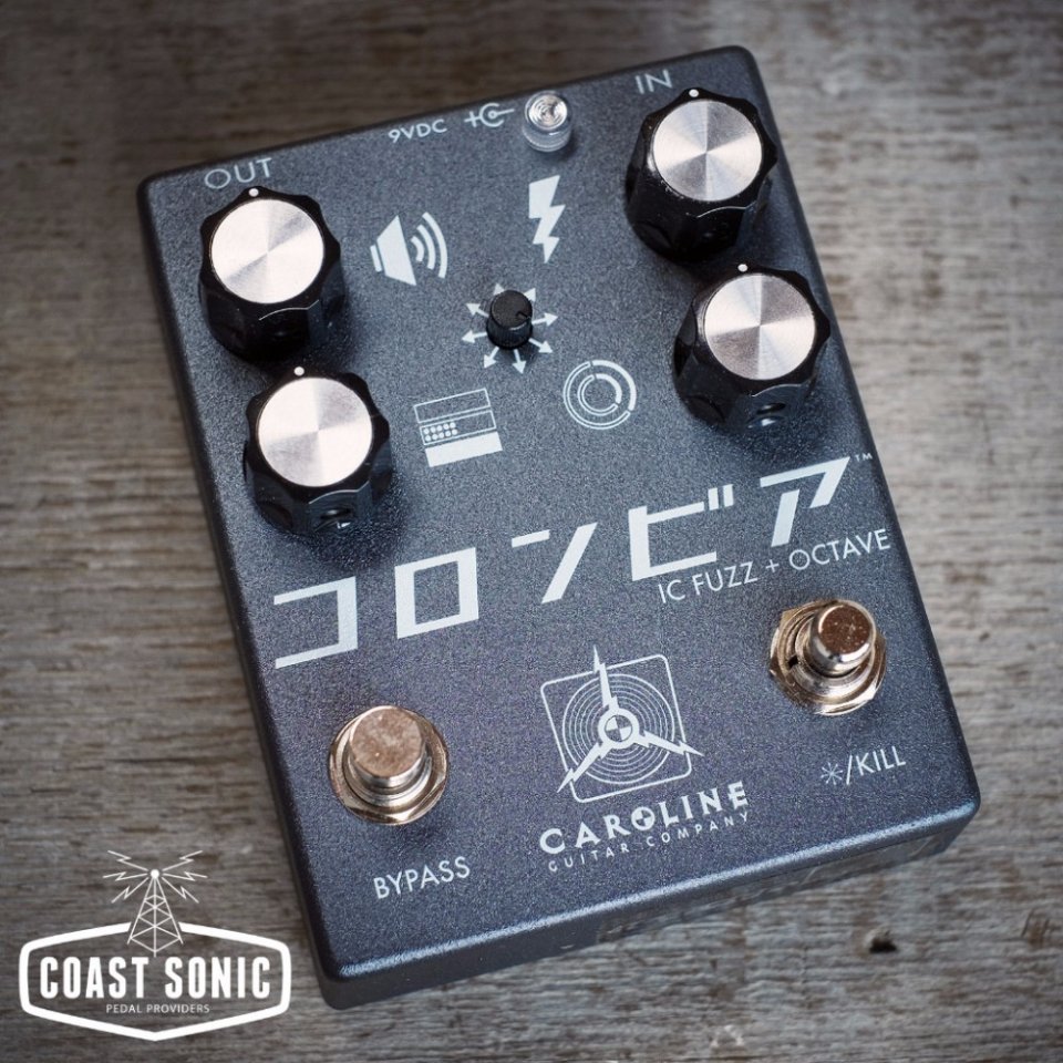 Caroline-Shigeharu-Fuzz.jpg
