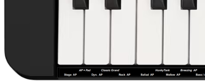 Casio CT-S1 Sounds (Beispielbild).jpg