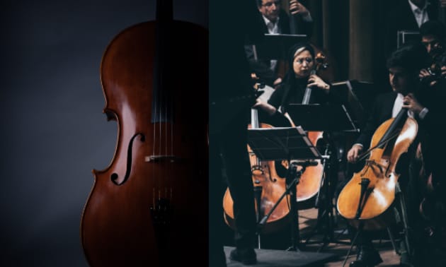 Cello_Delay.jpg