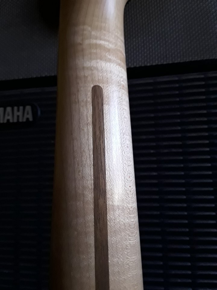 Ch_usa-CS_Neck_bk.jpg