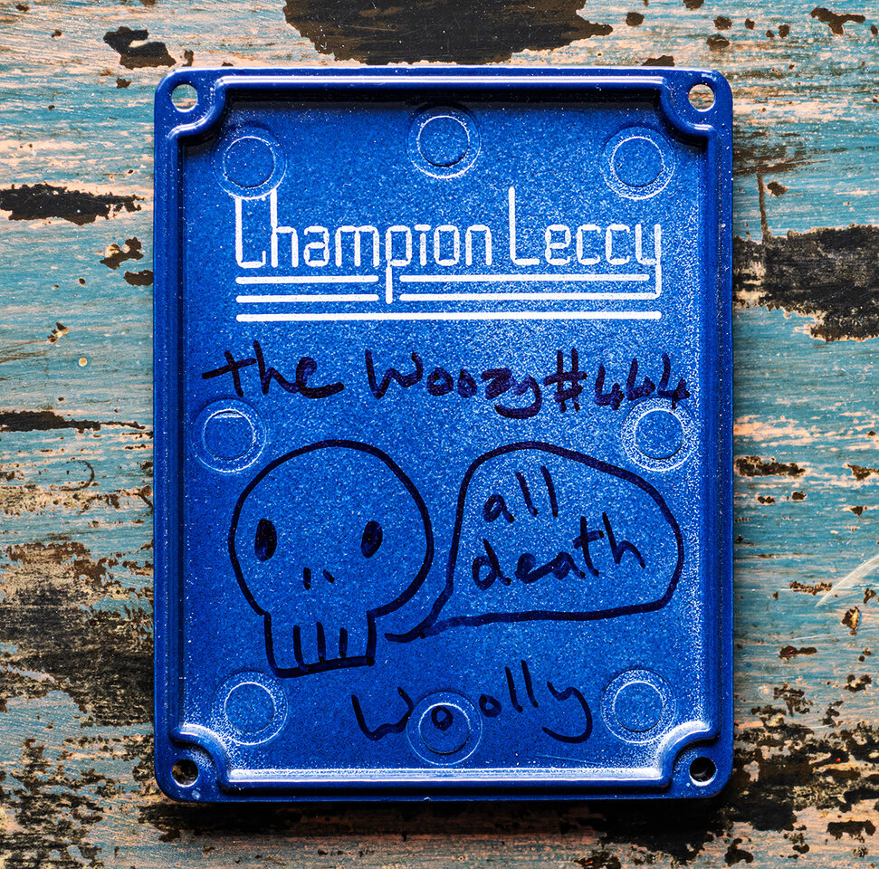 Champion-Leccy-Woozy-plate-inside.jpg