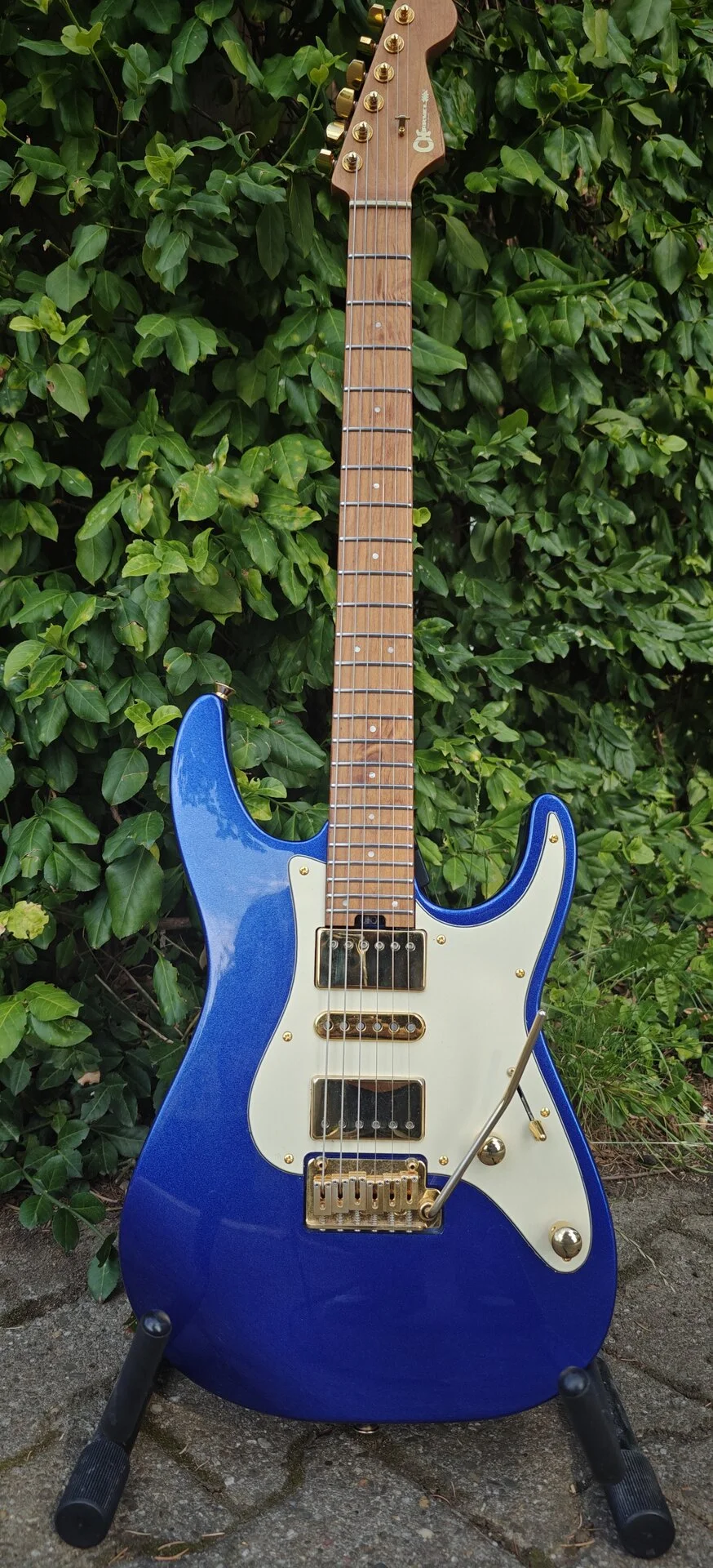 Charvel 1.jpg