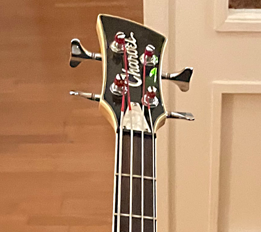 Charvel Kopf.jpg
