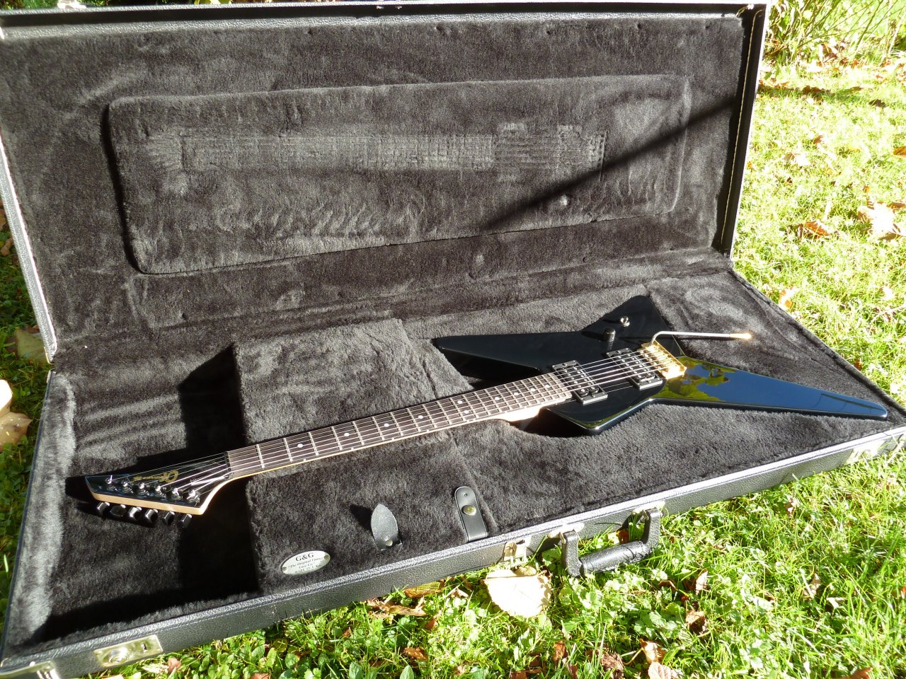 Charvel Star I.JPG