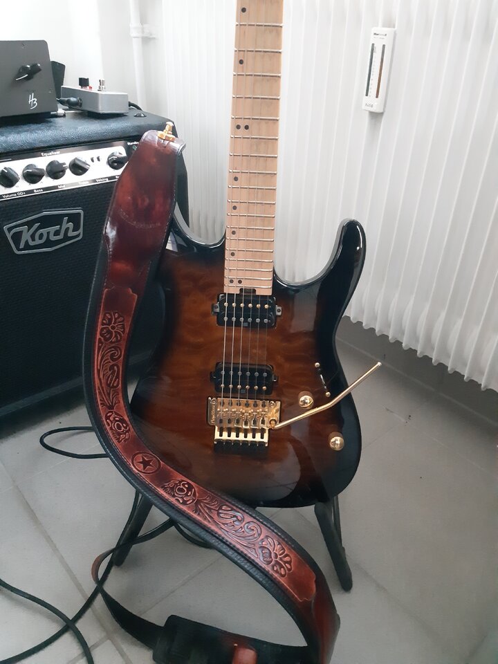 Charvel_DK24_Gurt.jpg