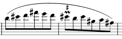 chop-am-prall.png