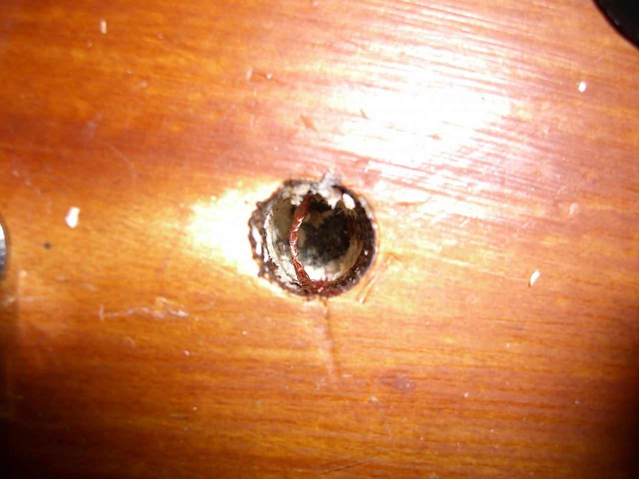 CIMG0146.JPG