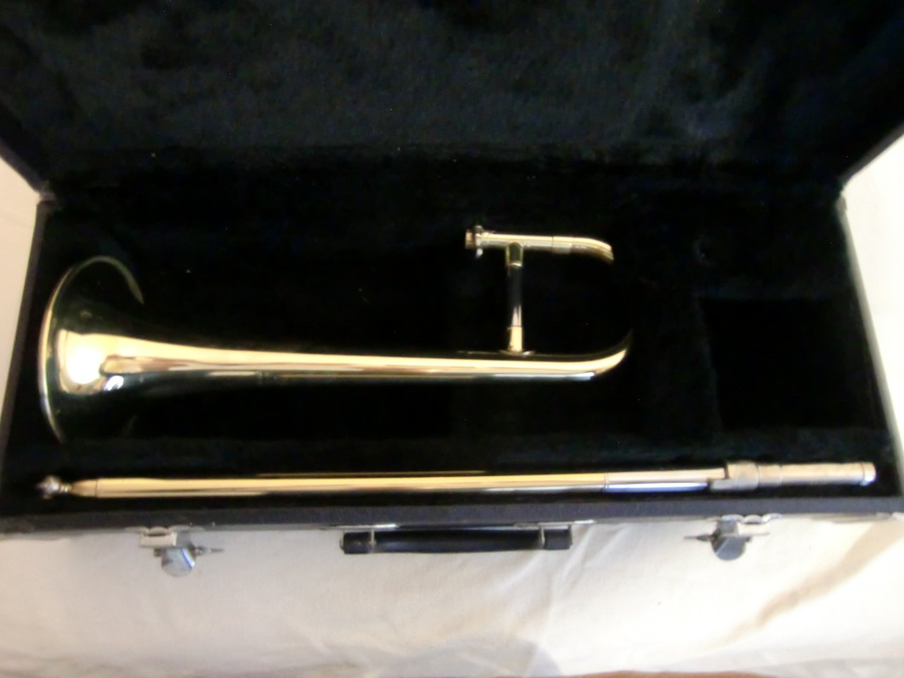 CIMG1690.JPG