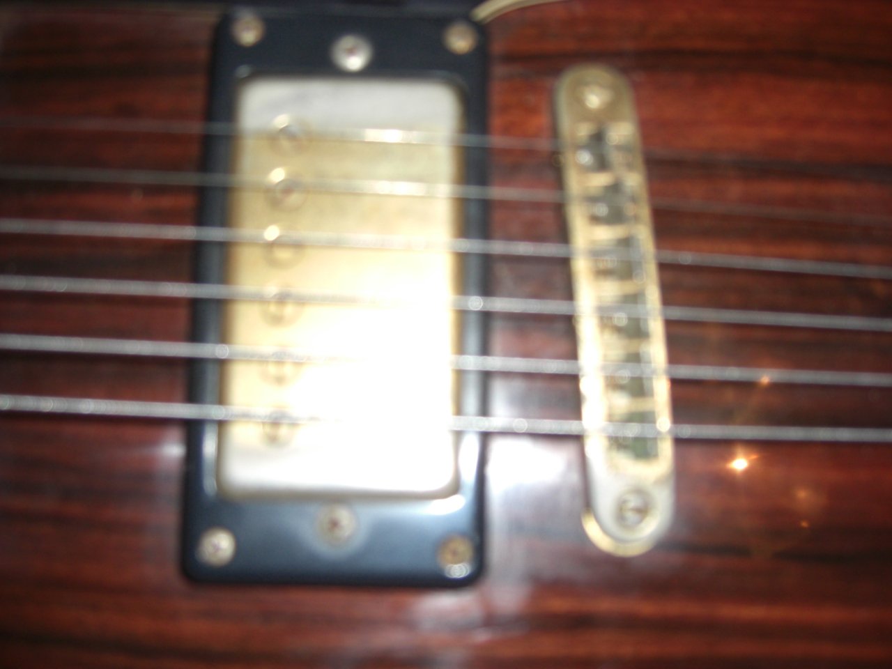 CIMG4832.JPG