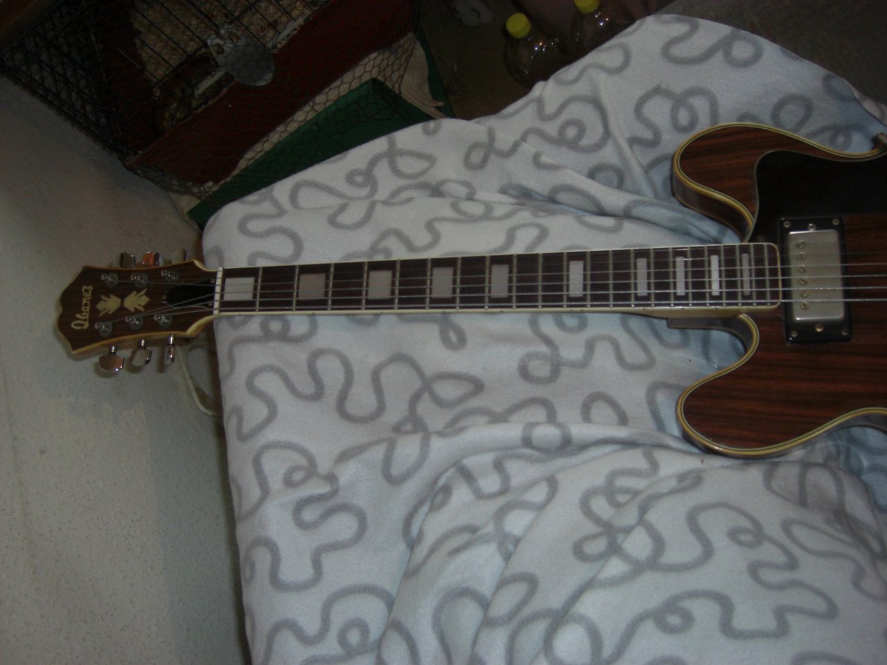 CIMG4844.JPG