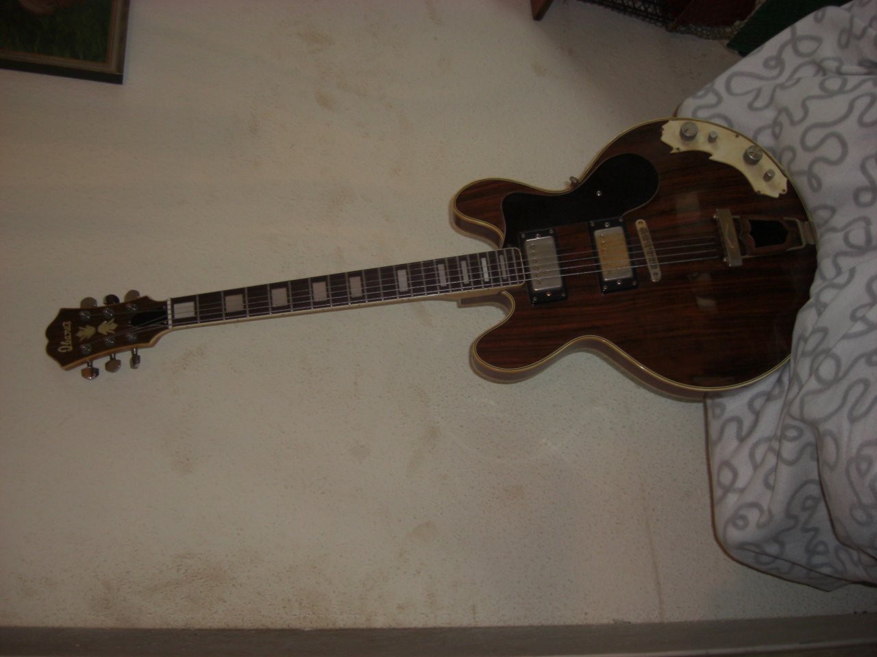 CIMG4846.JPG
