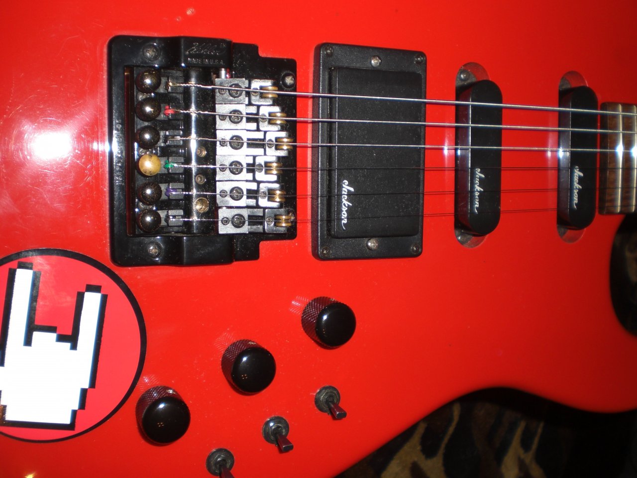 CIMG9136.JPG