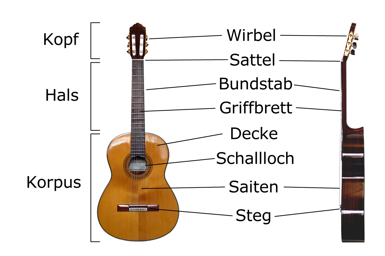 Classical_Guitar_labelled_g.png