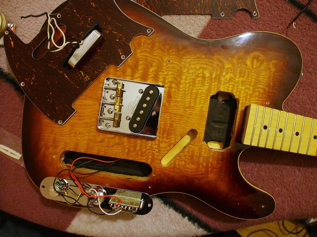 comp_P10645781.jpg