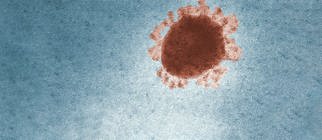 coronavirus.jpg