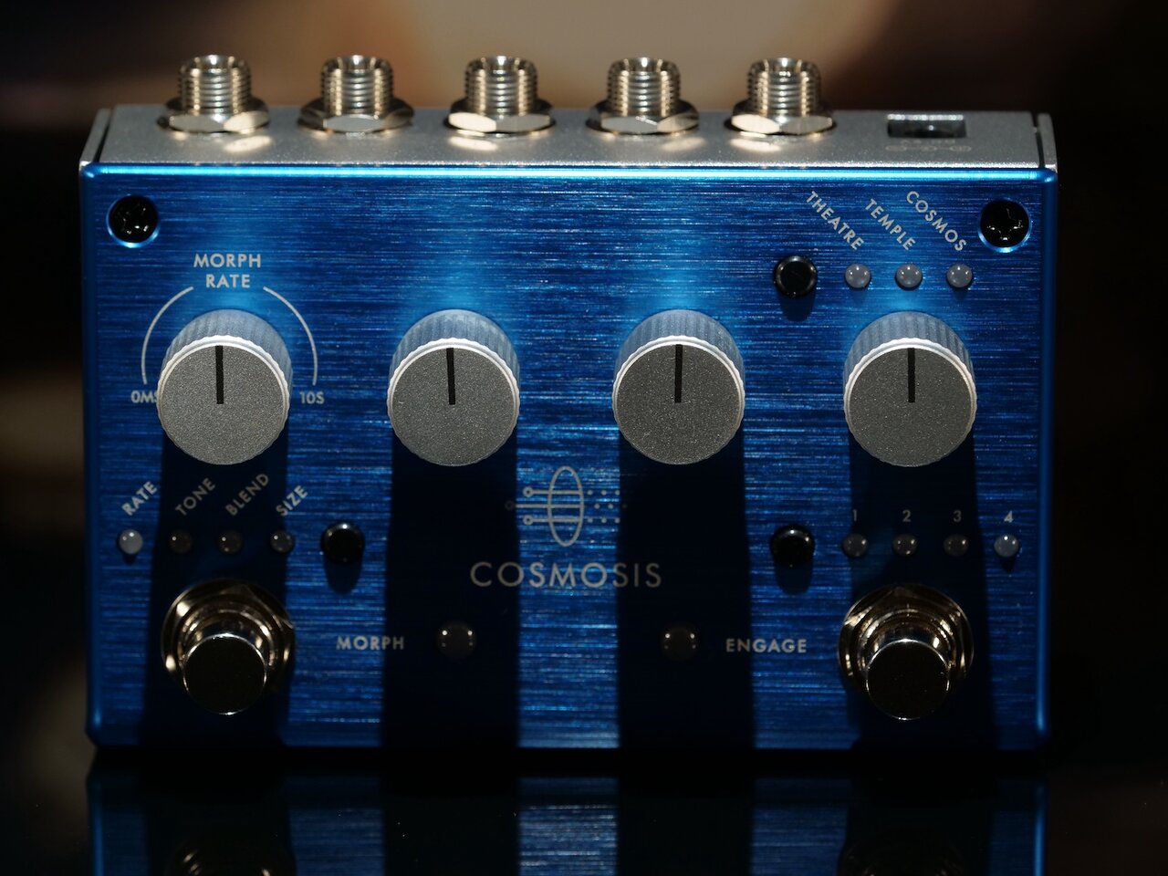 Cosmisis close.JPG