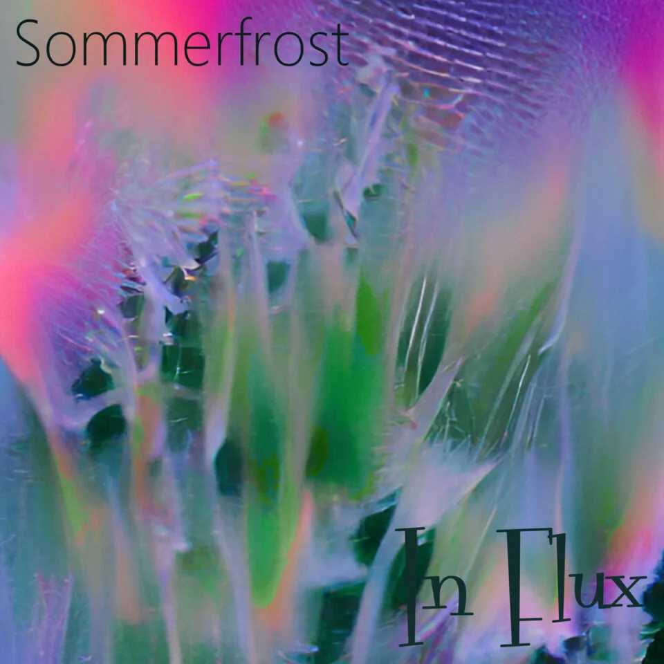 Cover In Flux 3000P.jpg