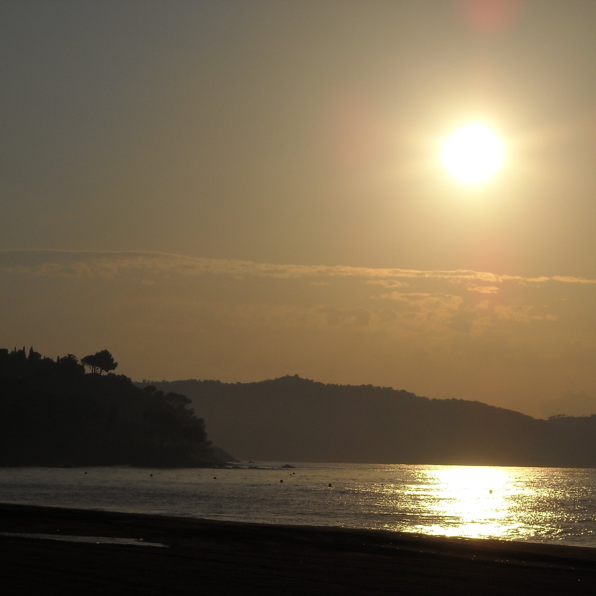 cover pic.jpg