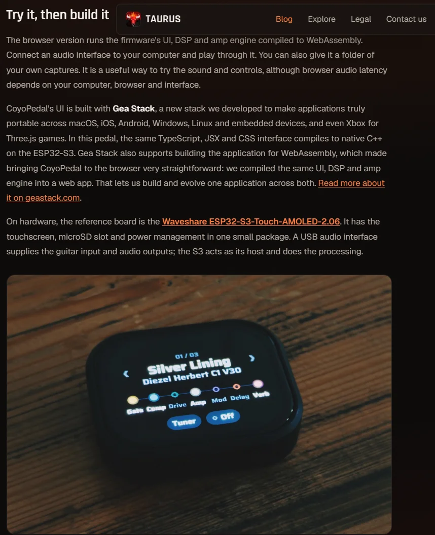 coyo p2.webp
