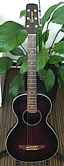 Crafter RF 40E.jpg