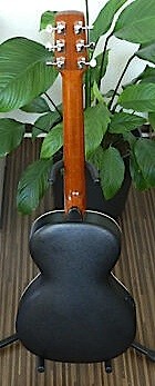 Crafter RF 40Eback.jpg