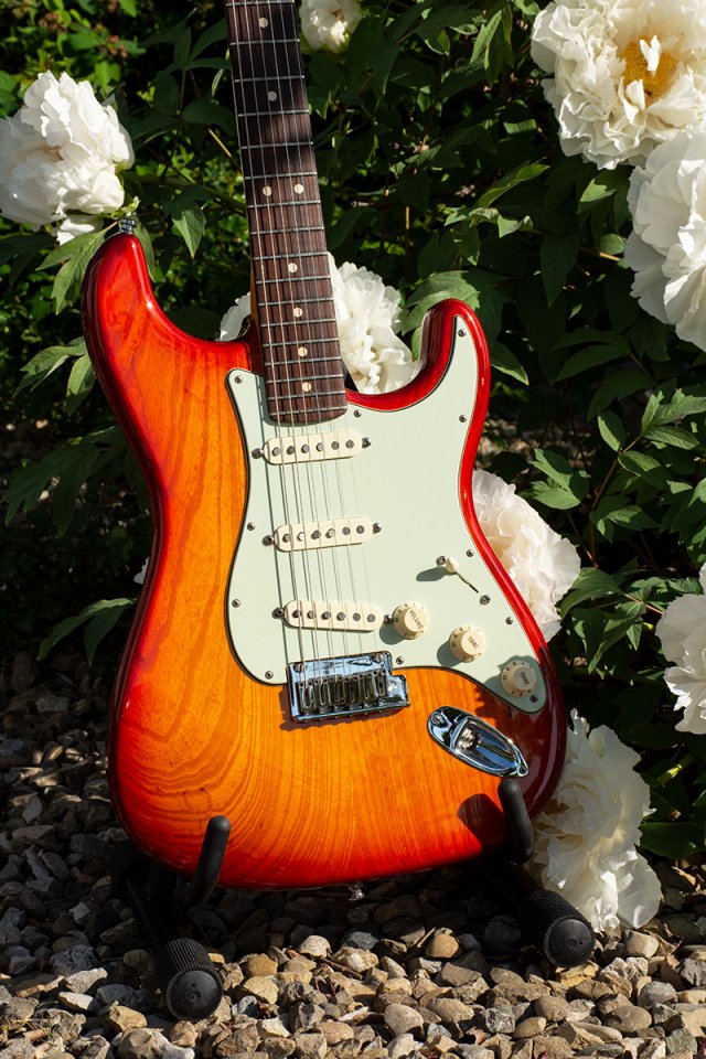 CS Deluxe Esche Korpus.jpg