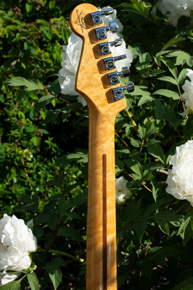 CS Deluxe Neck.jpg