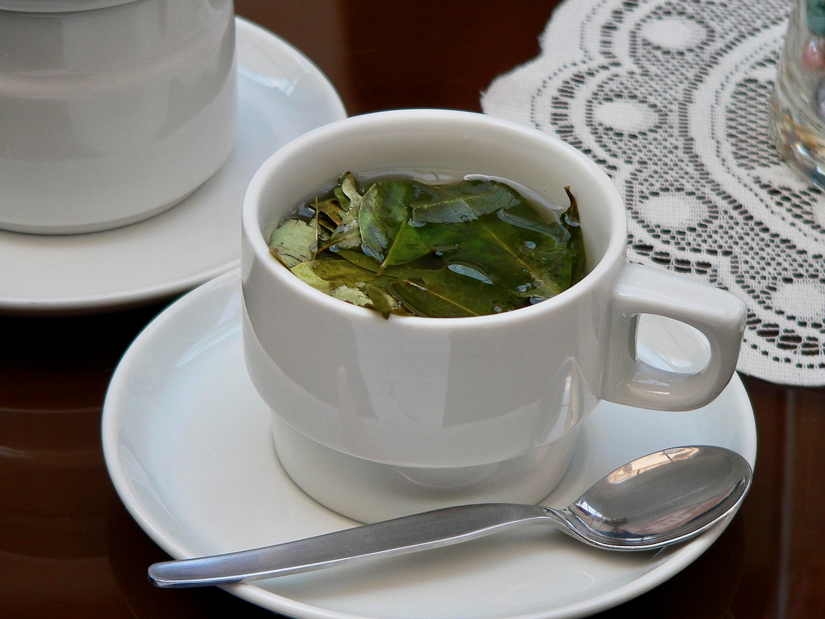Cup of Coca Tea (1).png