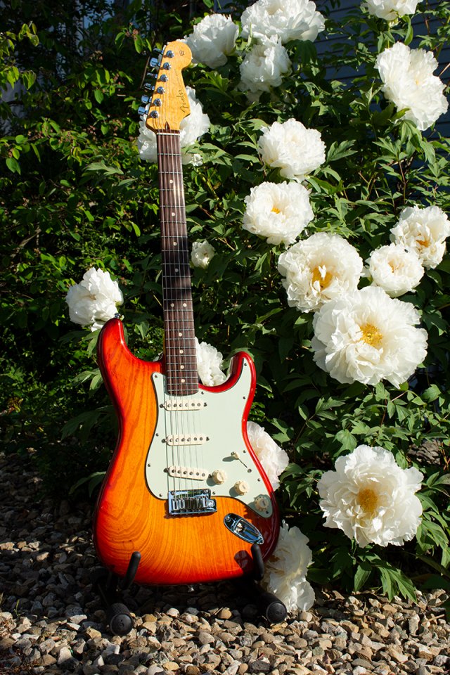 Custom Shop Deluxe 2010.jpg
