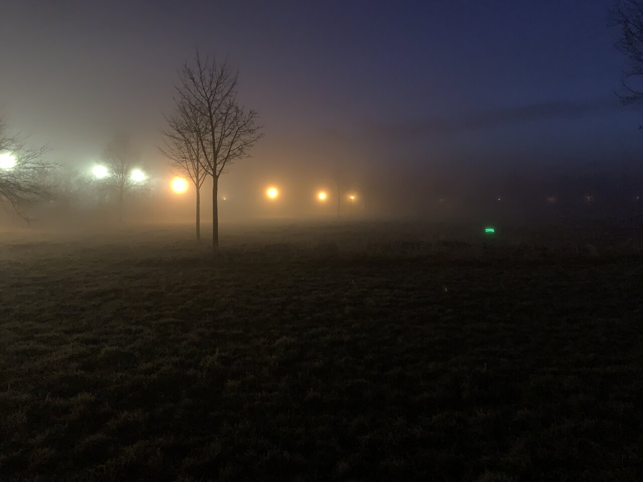 D012D8E5-393E-4ADB-9A40-E4D85468EAE1.jpeg