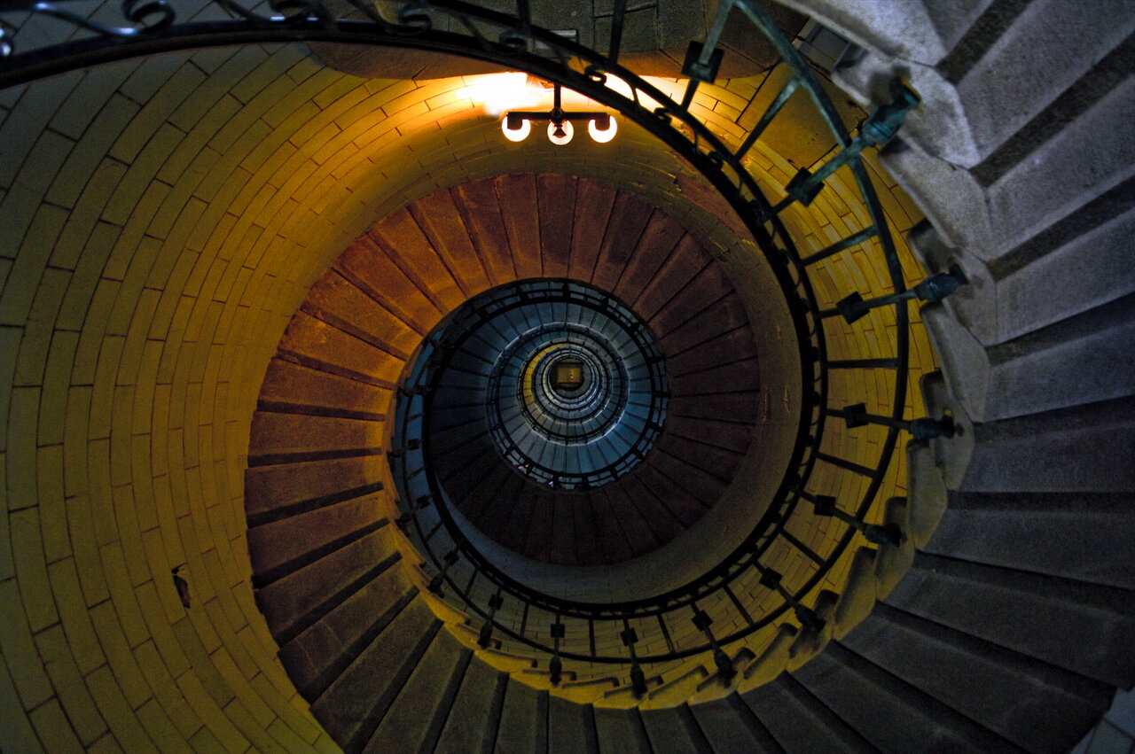 D2X_2137_2kl.jpg