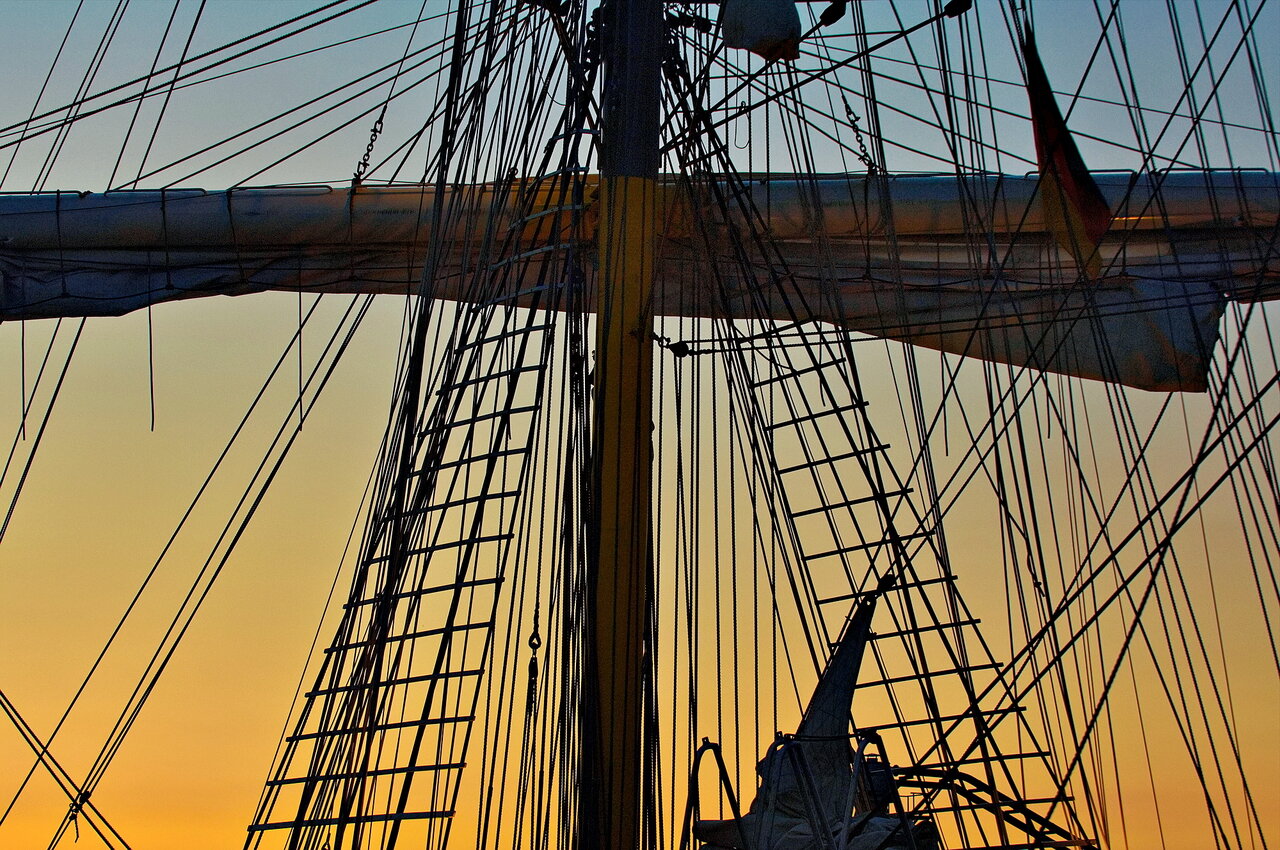 D2X_3620_.jpg