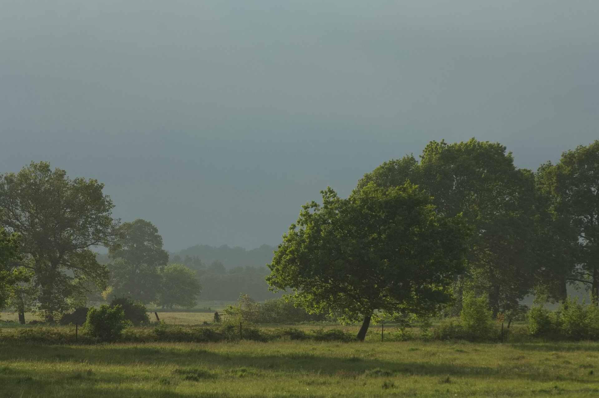 D2X_3644.jpg