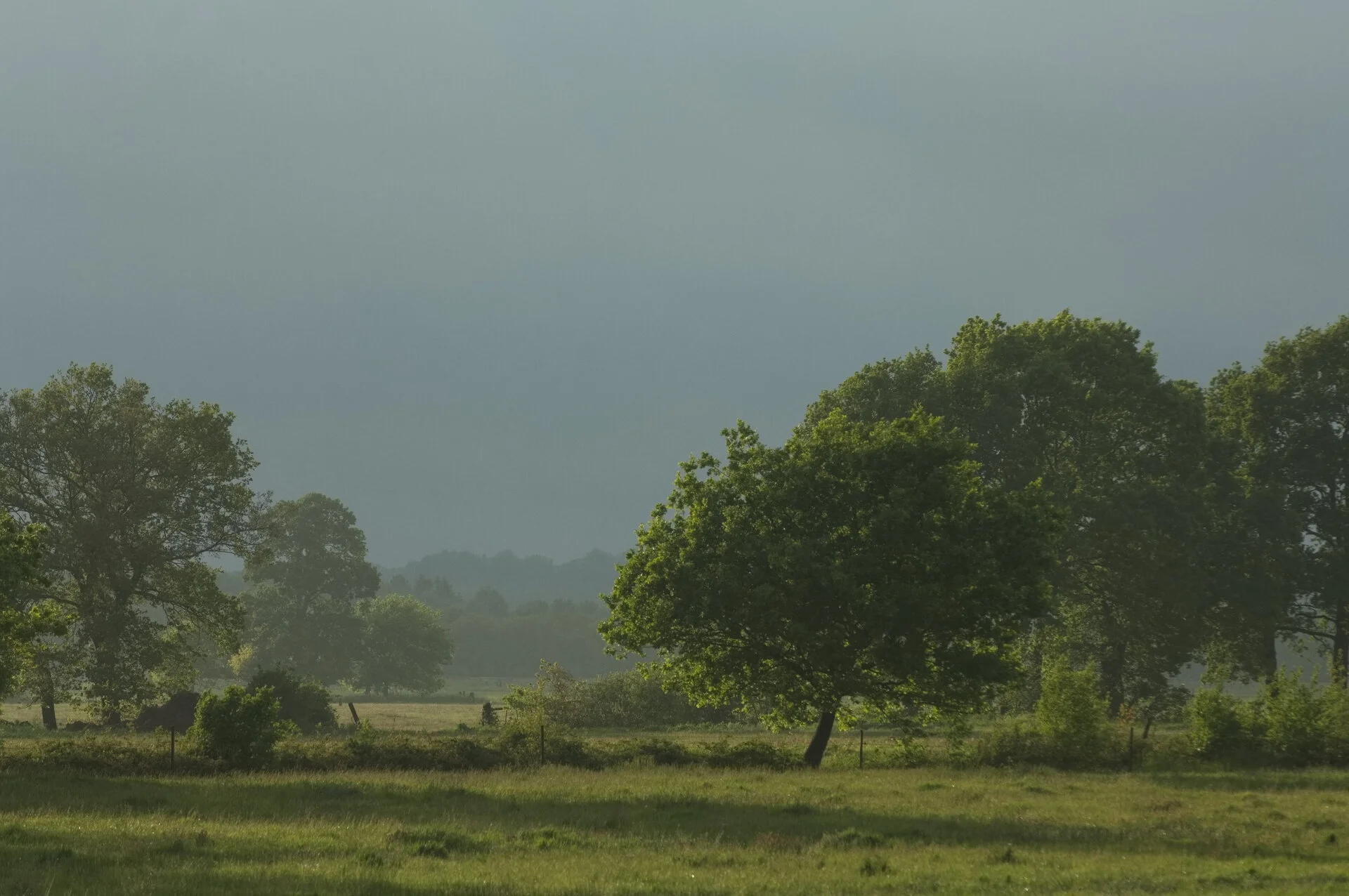 D2X_3644.jpg