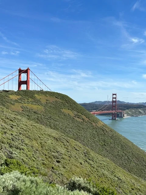 D95D0237-65A8-415E-8A5E-54FE11B92976.jpeg