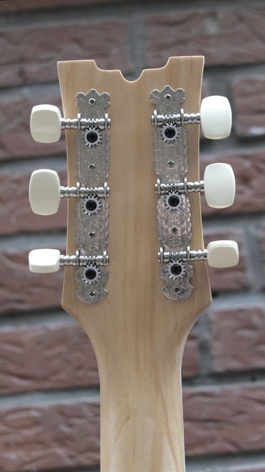 dc guitar9.jpg