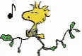 DCF79078-C222-40BF-A67C-D4C2093F45CF.gif