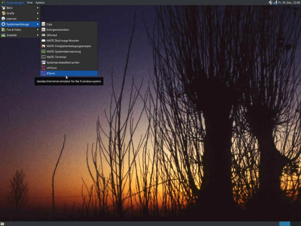Debian-Oberfläche.jpg