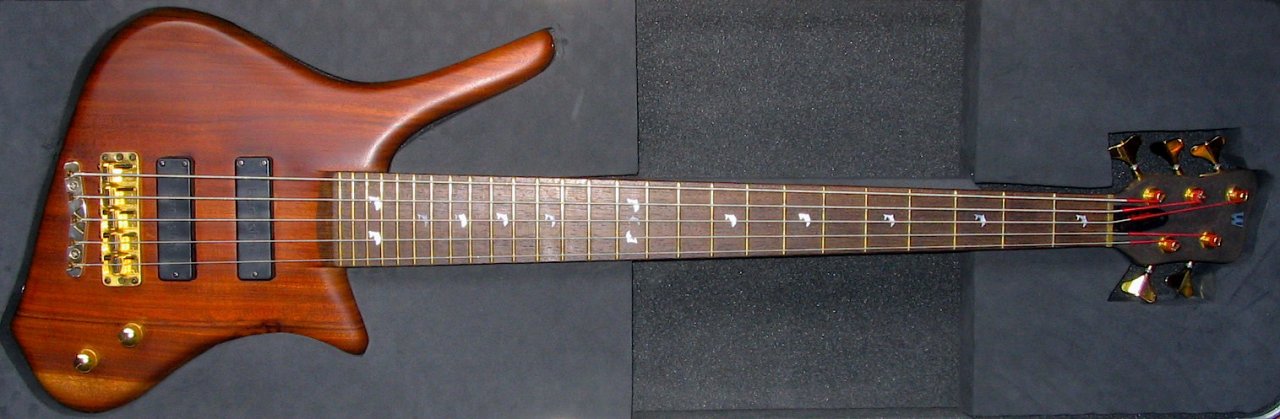 dolphin_2014.jpg