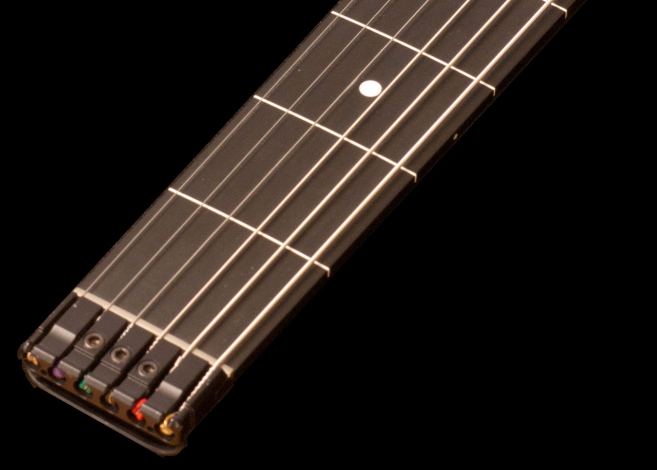 double_red_5_fretless_neck.jpg