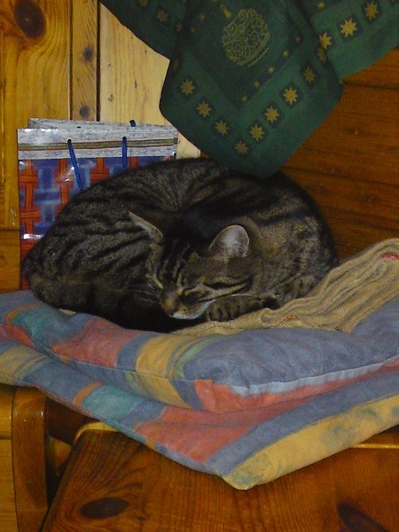 DSC00018.JPG