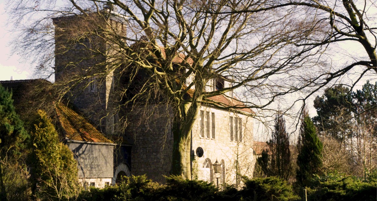 DSC00764.jpg