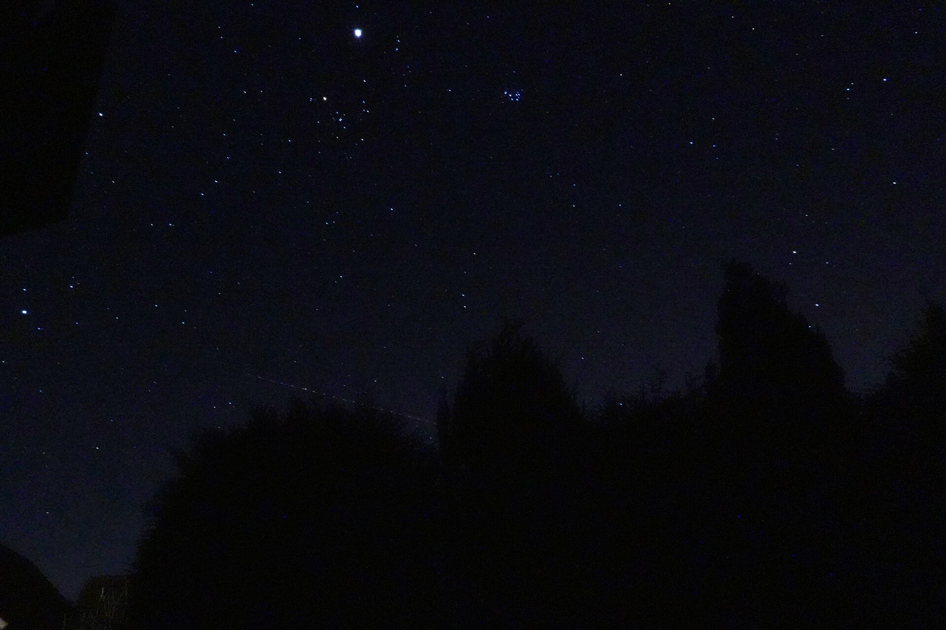 DSC00828.JPG