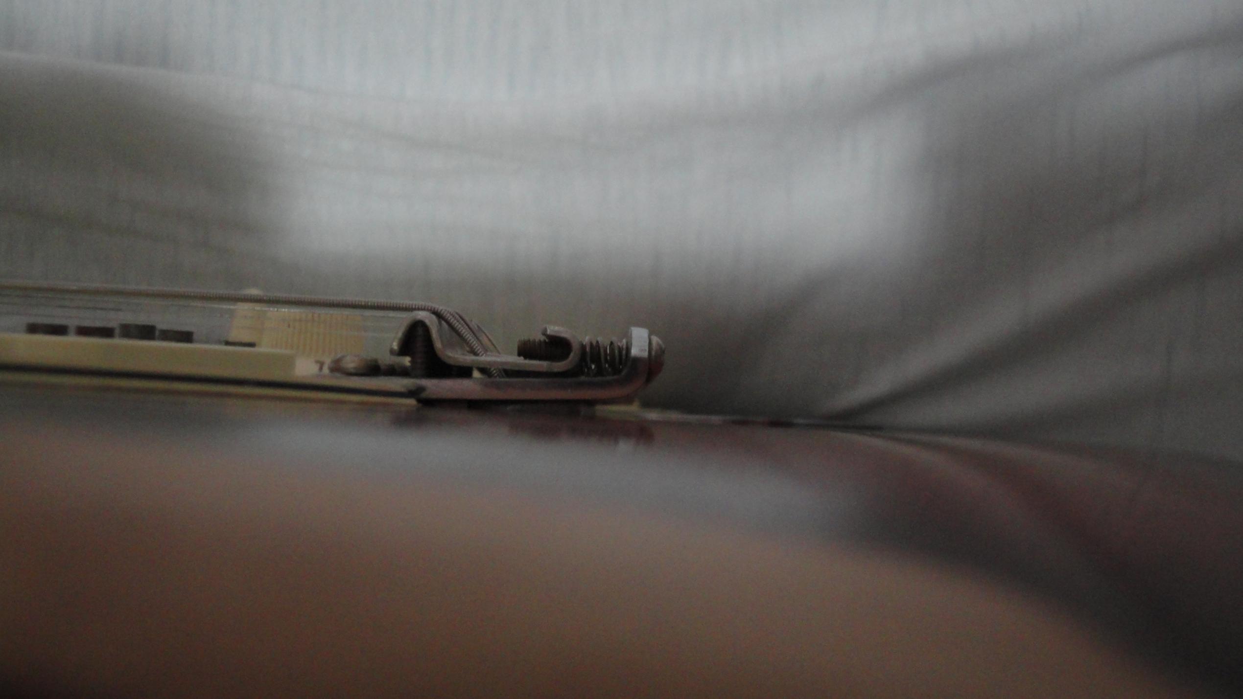 DSC01155.jpg