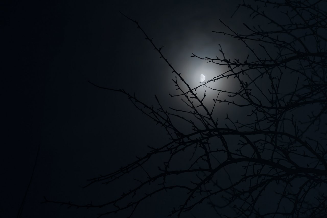 DSC01244.jpg