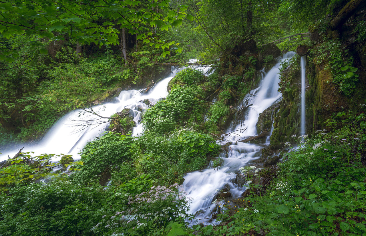 DSC01409.jpg