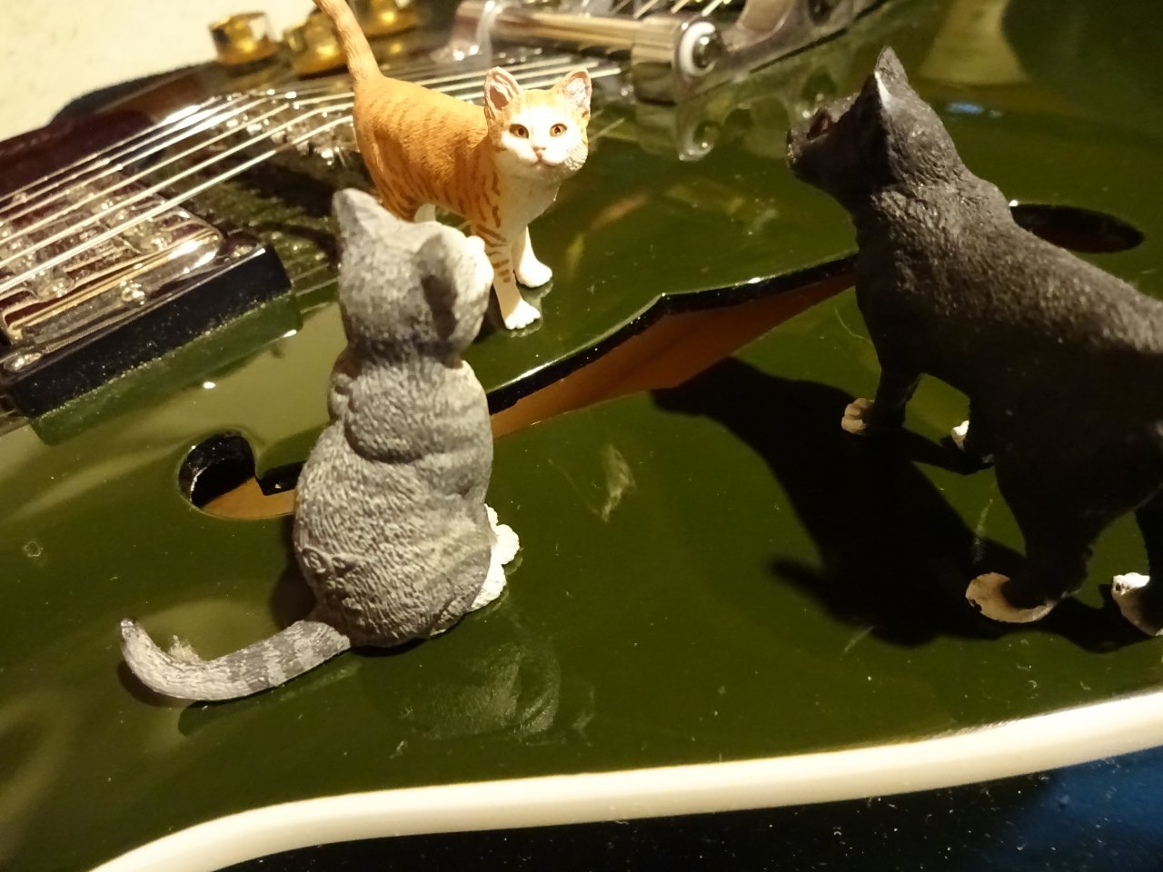 DSC01488.JPG