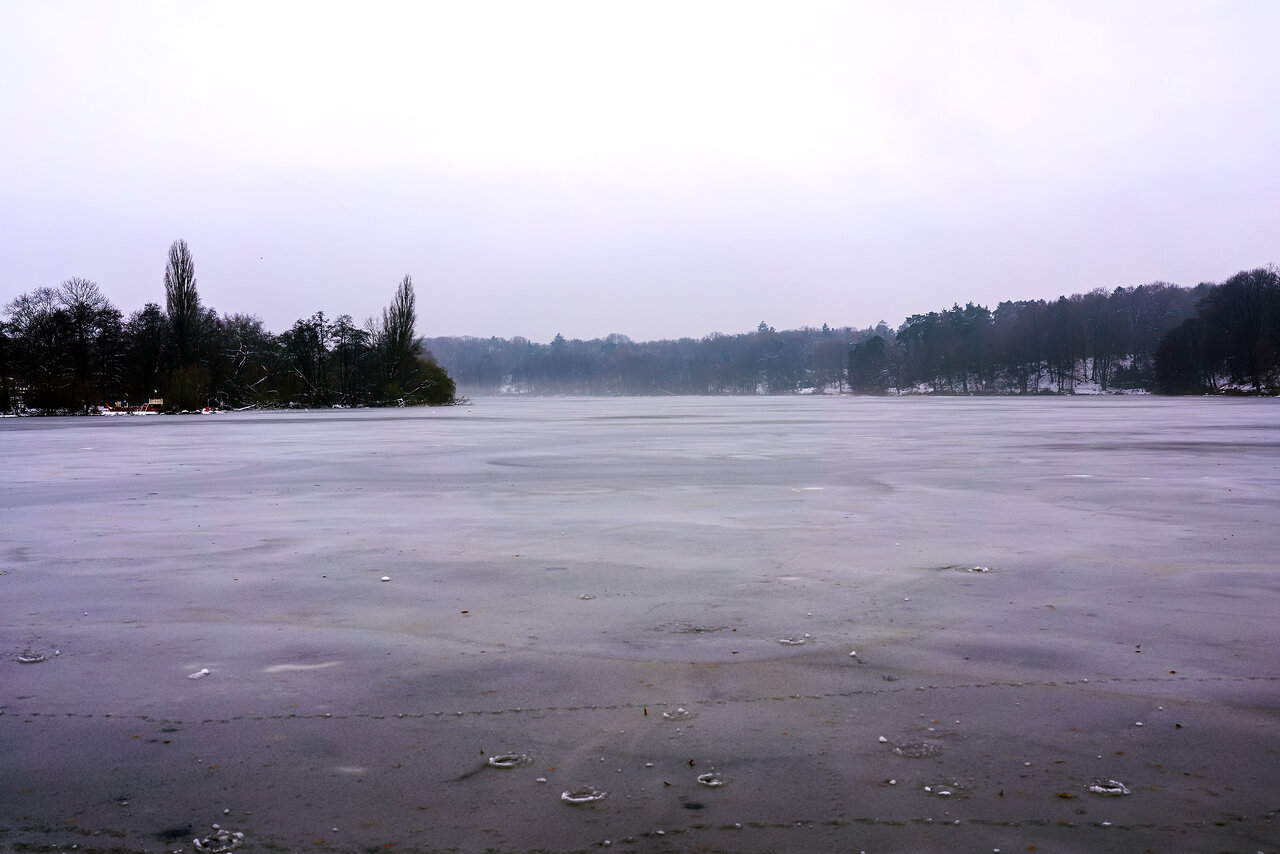 DSC01791c.jpg