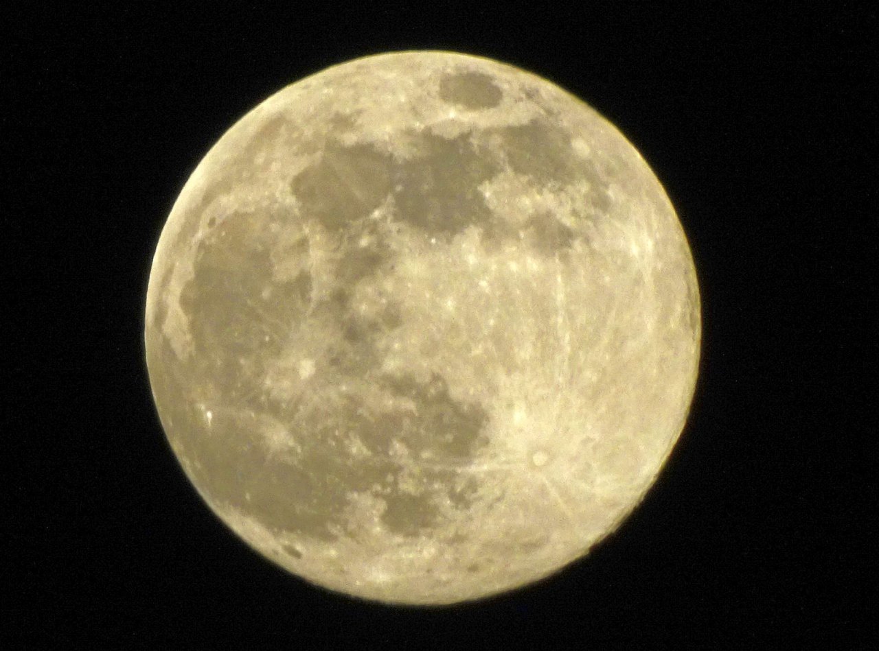 DSC01885a.jpg