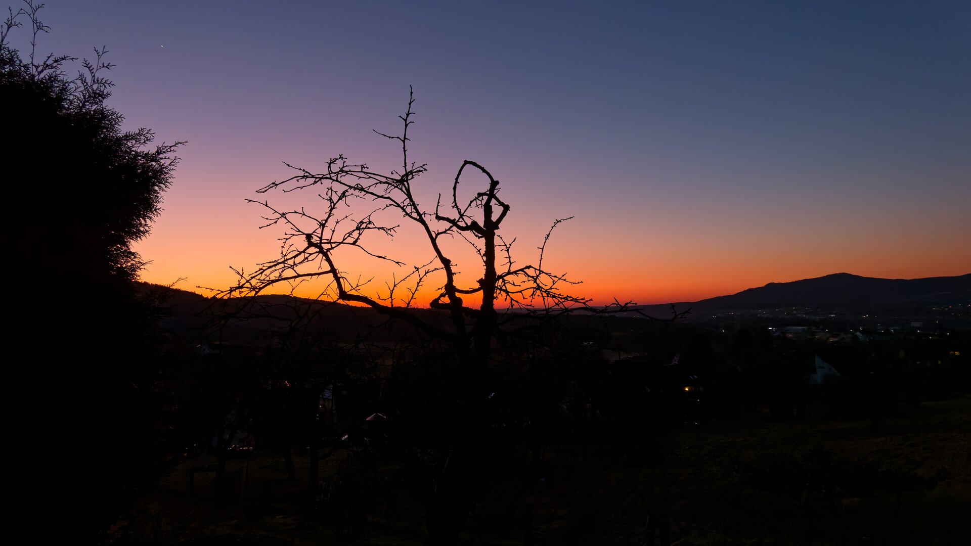 DSC02472_DxO.jpg